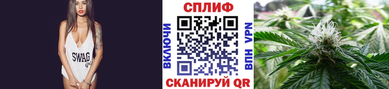 Каннабис план  Дыгулыбгей 